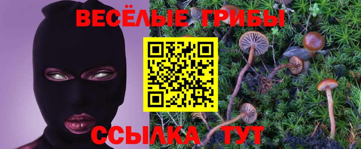 Галлюциногенные грибы GOLDEN TEACHER  Вход с VPN  Псилоцибиновые грибы Psilocybe  Туймазы 